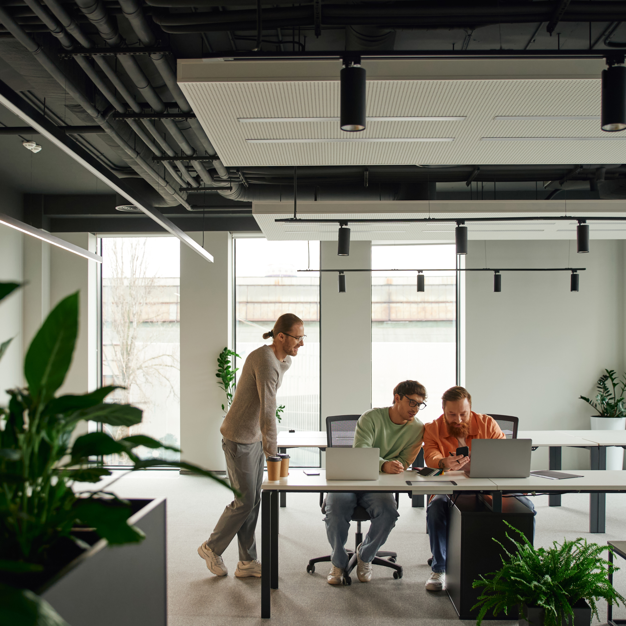 People working in an airy office space with plants.