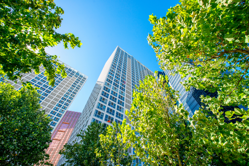 Modern building surrounded by trees, representing sustainability in modern construction through nature integration and energy-conscious design.